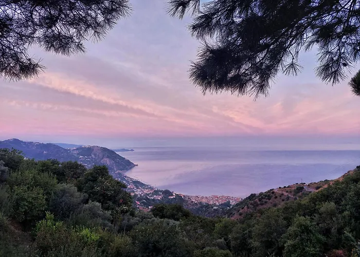 Tale Gioiosa